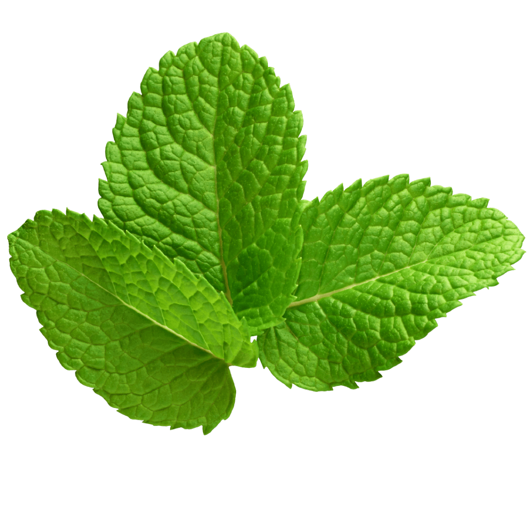 Puff™ Herbal Lung Cleanse Diffuser 14 mintT