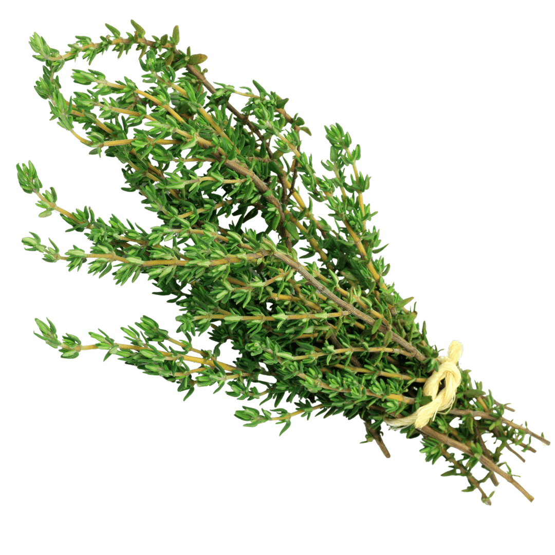 Puff™ Herbal Lung Cleanse Diffuser 13 tthymet
